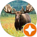 The M. profile picture